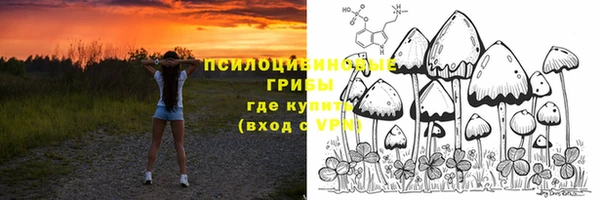 эйфоретик Горнозаводск