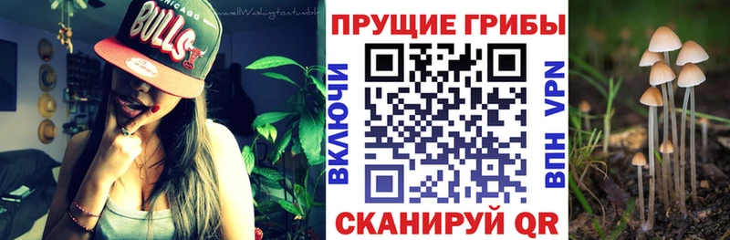 Псилоцибиновые грибы ЛСД  гидра ONION  Абакан 